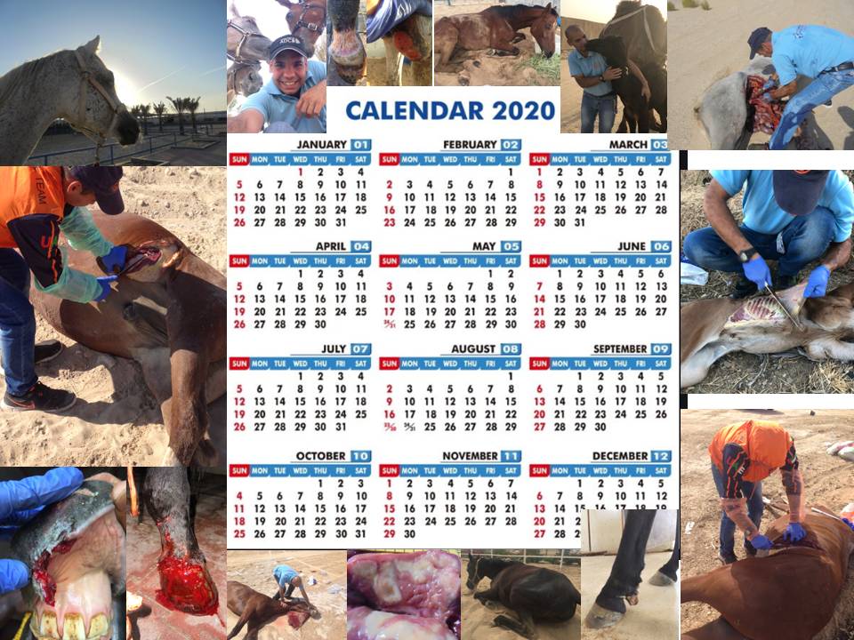 Calendar 2020