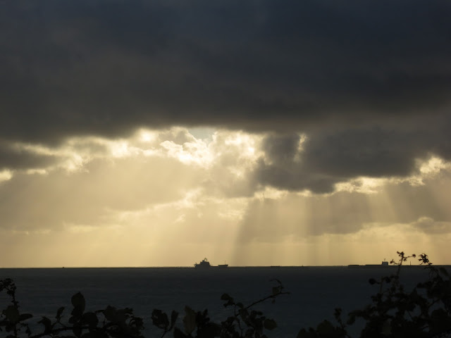 Ship on dark horizon silhouetted against white clouds in grey sky. Sun rays and blackberry leaves.