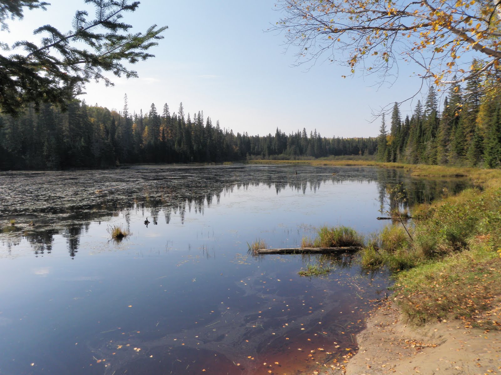 Nicks Outdoor Adventures Big Trout Lake Loop Fall 2010 Part 2
