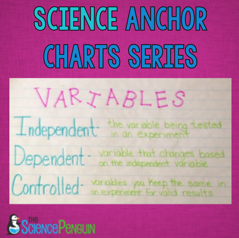 Scientific Process Anchor Chart