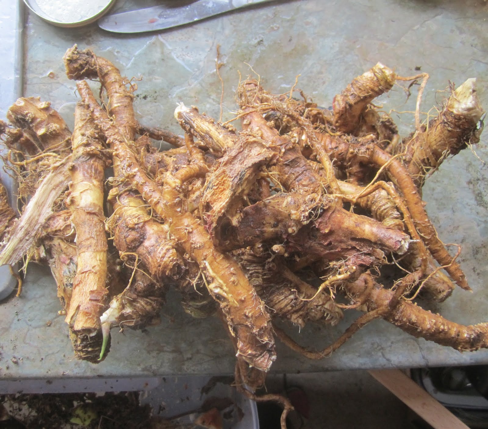 Tales of a Kitchen Herbwife