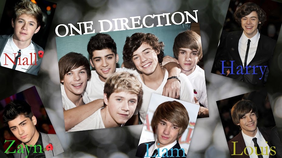One direction novell