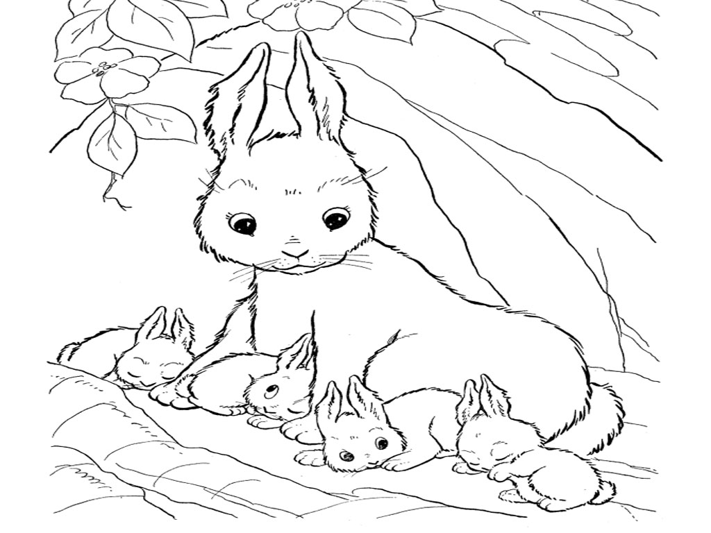 Rabbits Coloring Pages Realistic | Realistic Coloring Pages