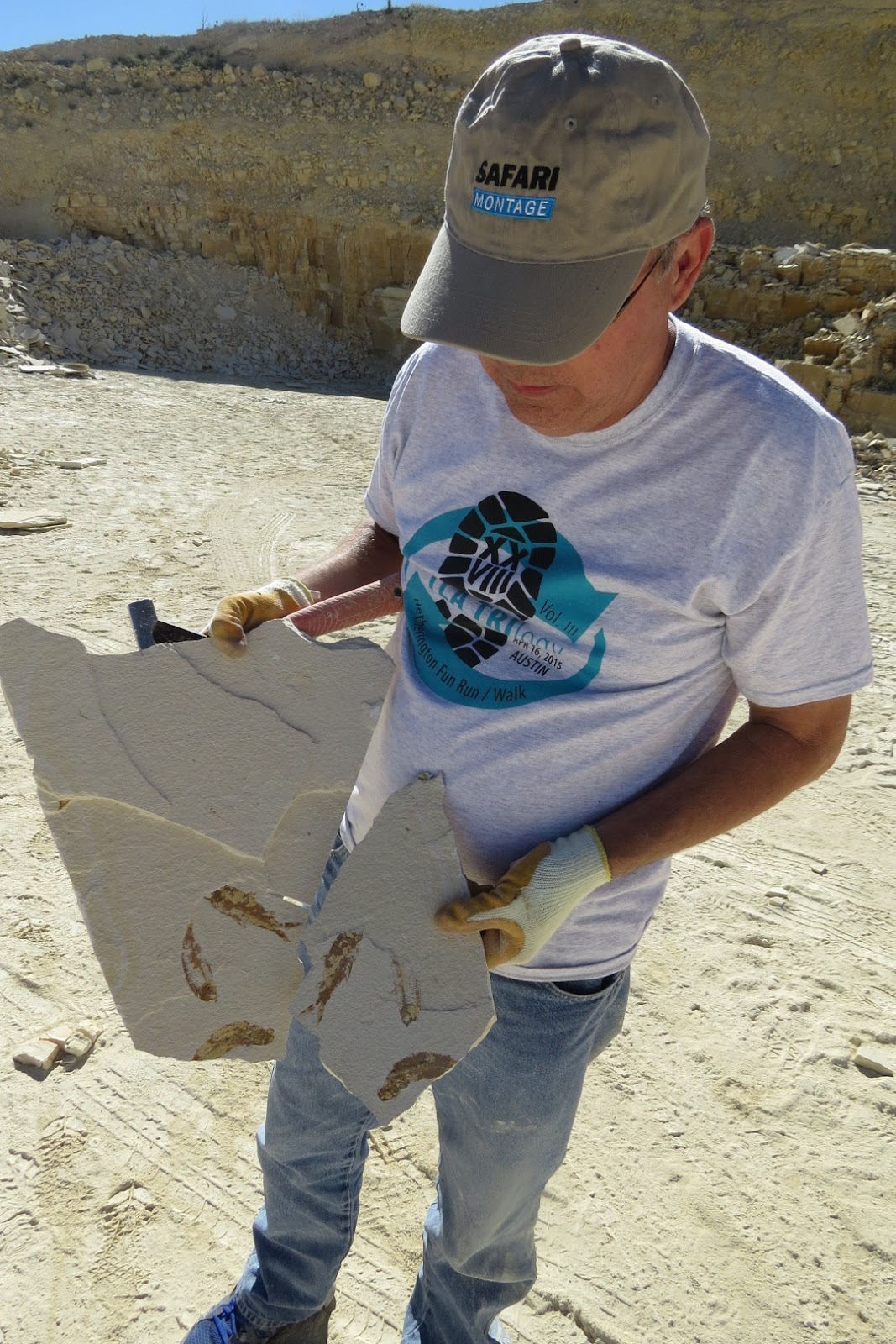 Readerbuzz Hunting for Fossil Fish, Outside Kemmerer, Wyoming