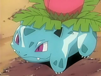 http://1.bp.blogspot.com/-XYo7u0o1f84/TWg95GJyJpI/AAAAAAAAAFM/xj_dC5V9I1I/s320/ivysaur1.png