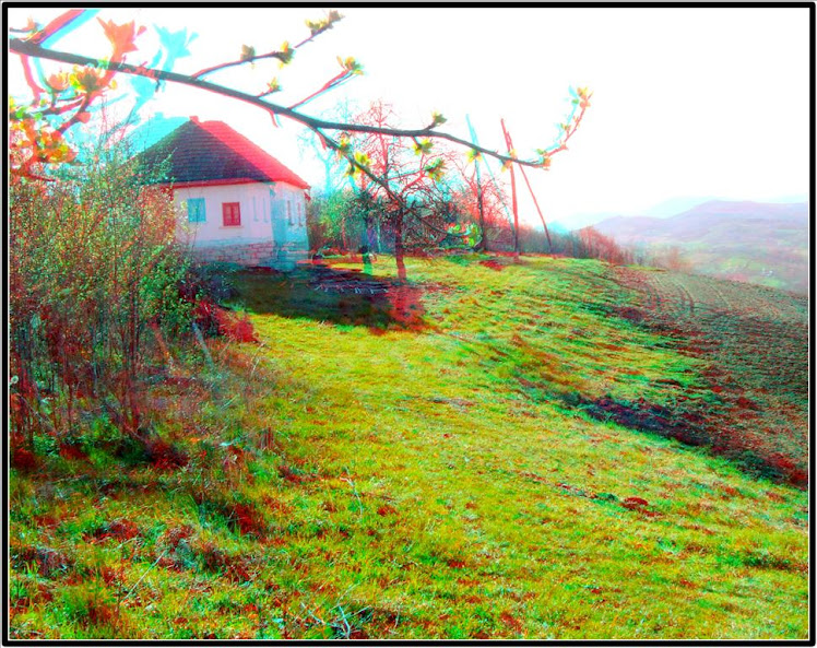 Planina Jelica