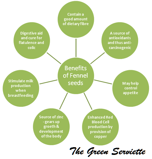 The Green Serviette: Fennel Seeds/ Saunf