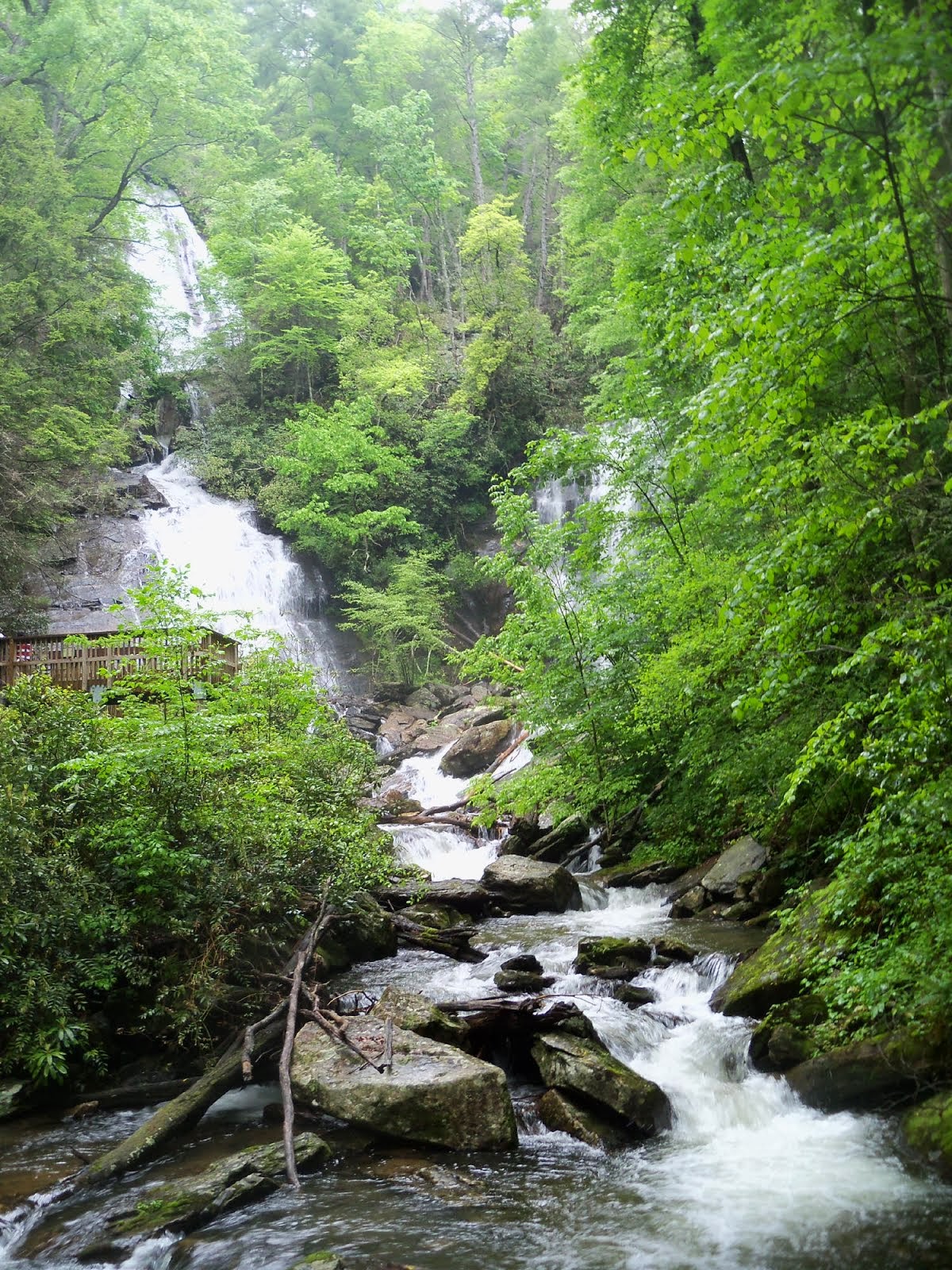 Anna Ruby Falls Georgia