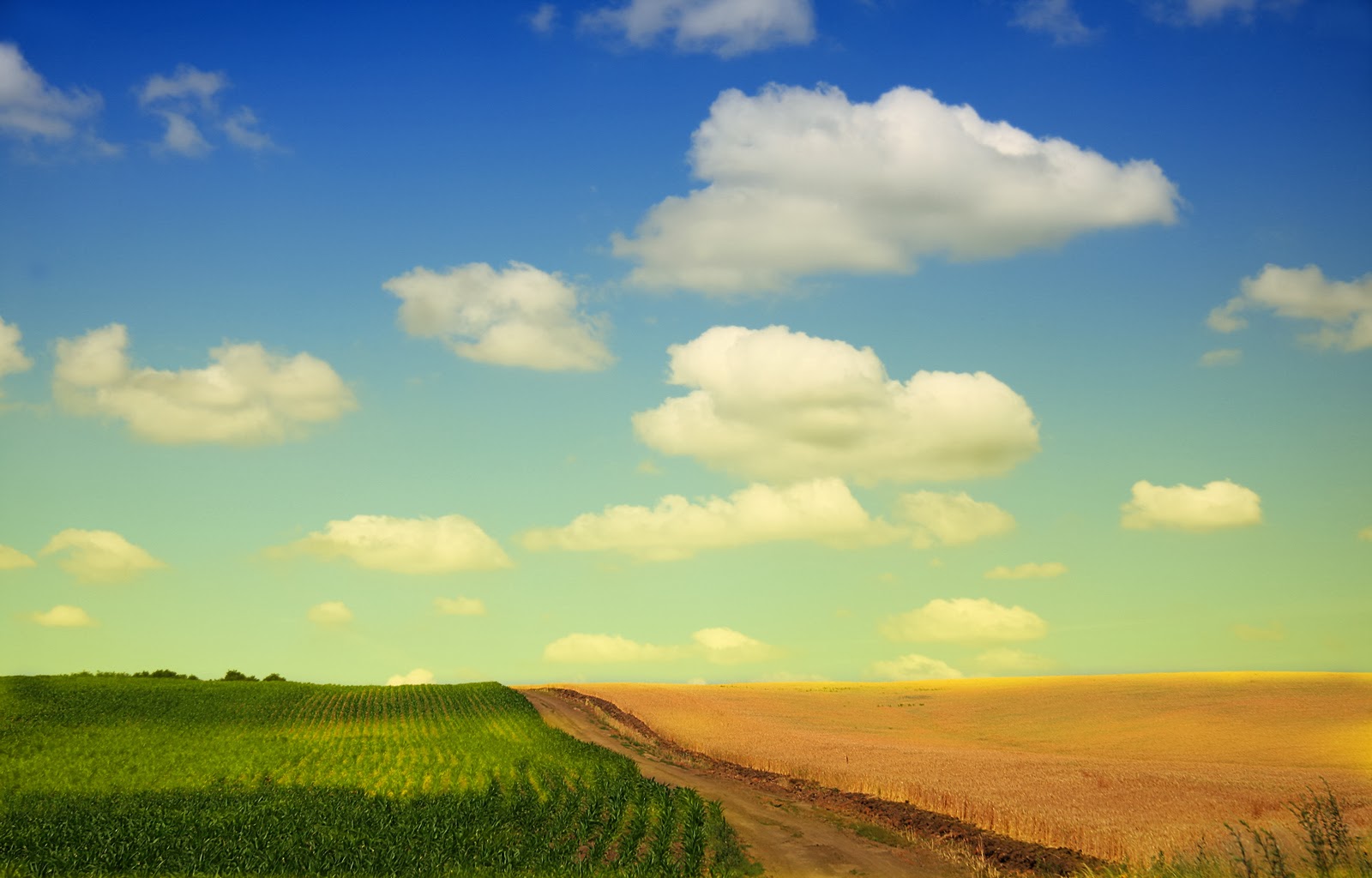 fields ,Nature,Clouds,skyscapes,Wallpapers