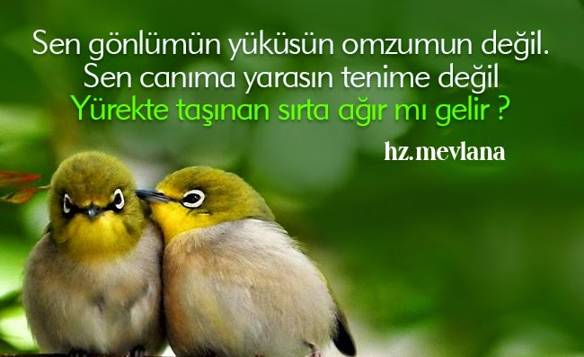 Sen%2Bg%C3%B6nl%C3%BCm%C3%BCn%2By%C3%BCk%C3%BCs%C3%BCn%2Bomzumun%2Bde%C4%9Fil.%2BSen%2Bcan%C4%B1ma%2Byaras%C4%B1n%2Btenime%2Bde%C4%9Fil.%2BY%C3%BCrekte%2Bta%C5%9F%C4%B1nan%2Bs%C4%B1rta%2Ba%C4%9F%C4%B1r%2Bm%C4%B1%2Bgelir.jpg