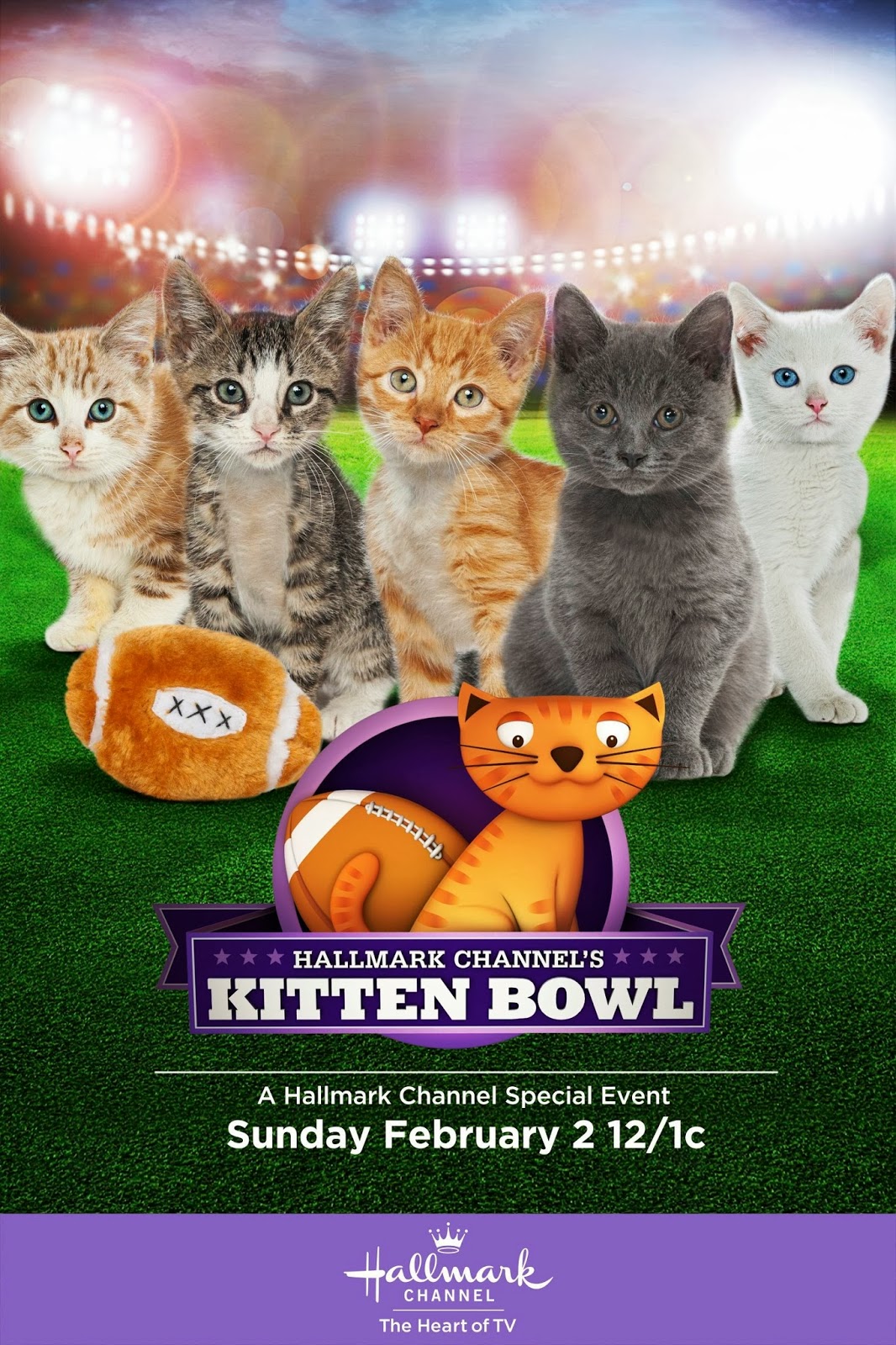 Cat Chat With Caren And Cody Hallmark Channel's KITTEN BOWL!!!!