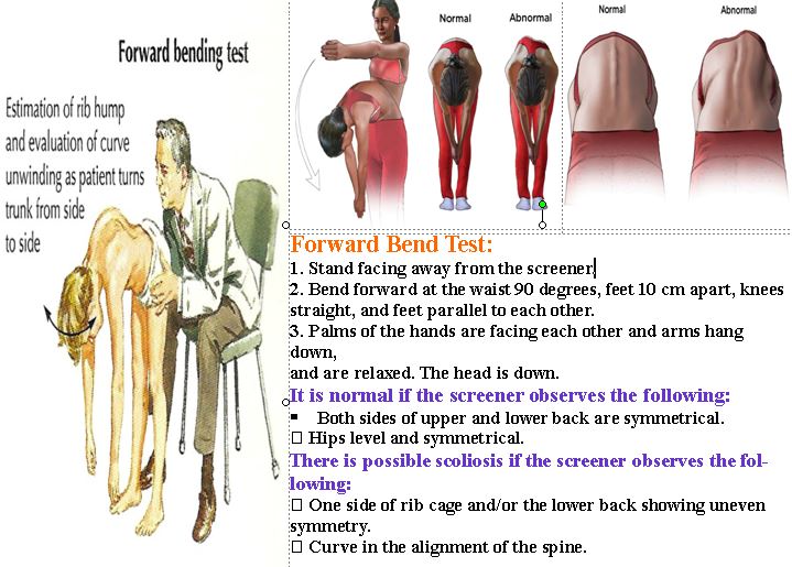 Grade 7 Health July 2015
