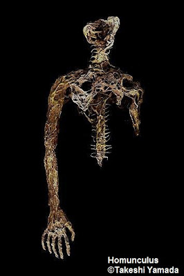 Homunculus of Paracelsus by Takeshi Yamada