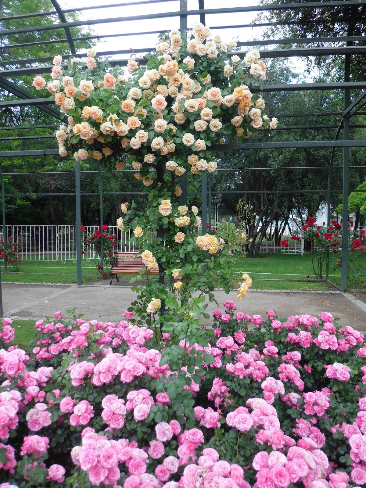 Verdejazmín: La Jardinera, primera parte