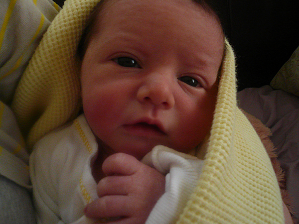 texto a menina os amigos o segredo