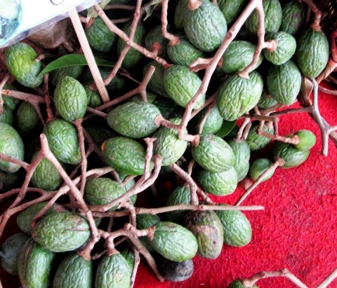 Superfoods | Solikul 46