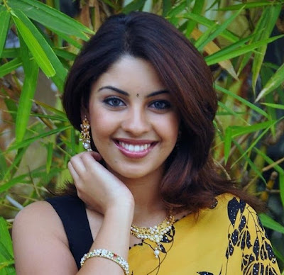 richa gangopadhyay in saree photo gallery