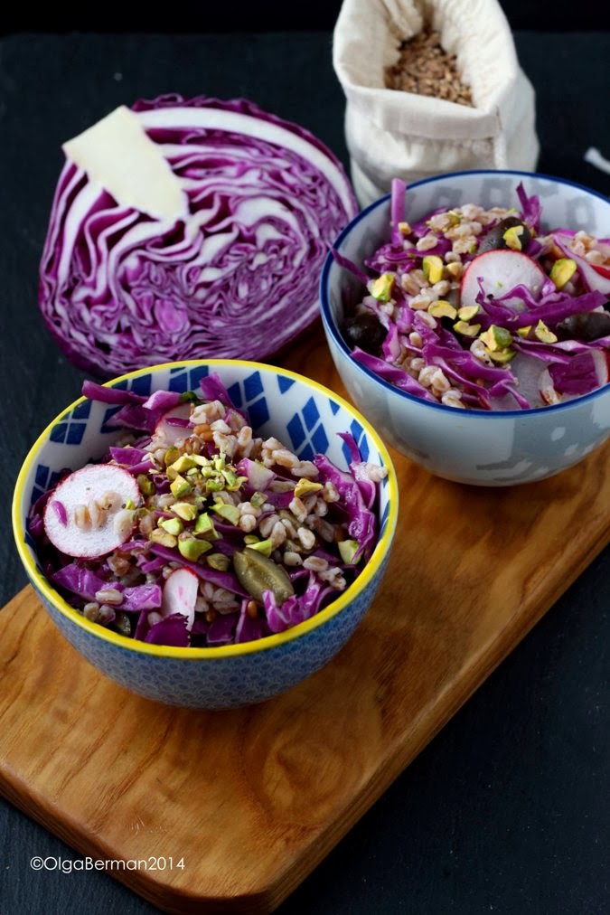 Mango & Tomato Vegan Farro & Red Cabbage Salad Filling, Colorful