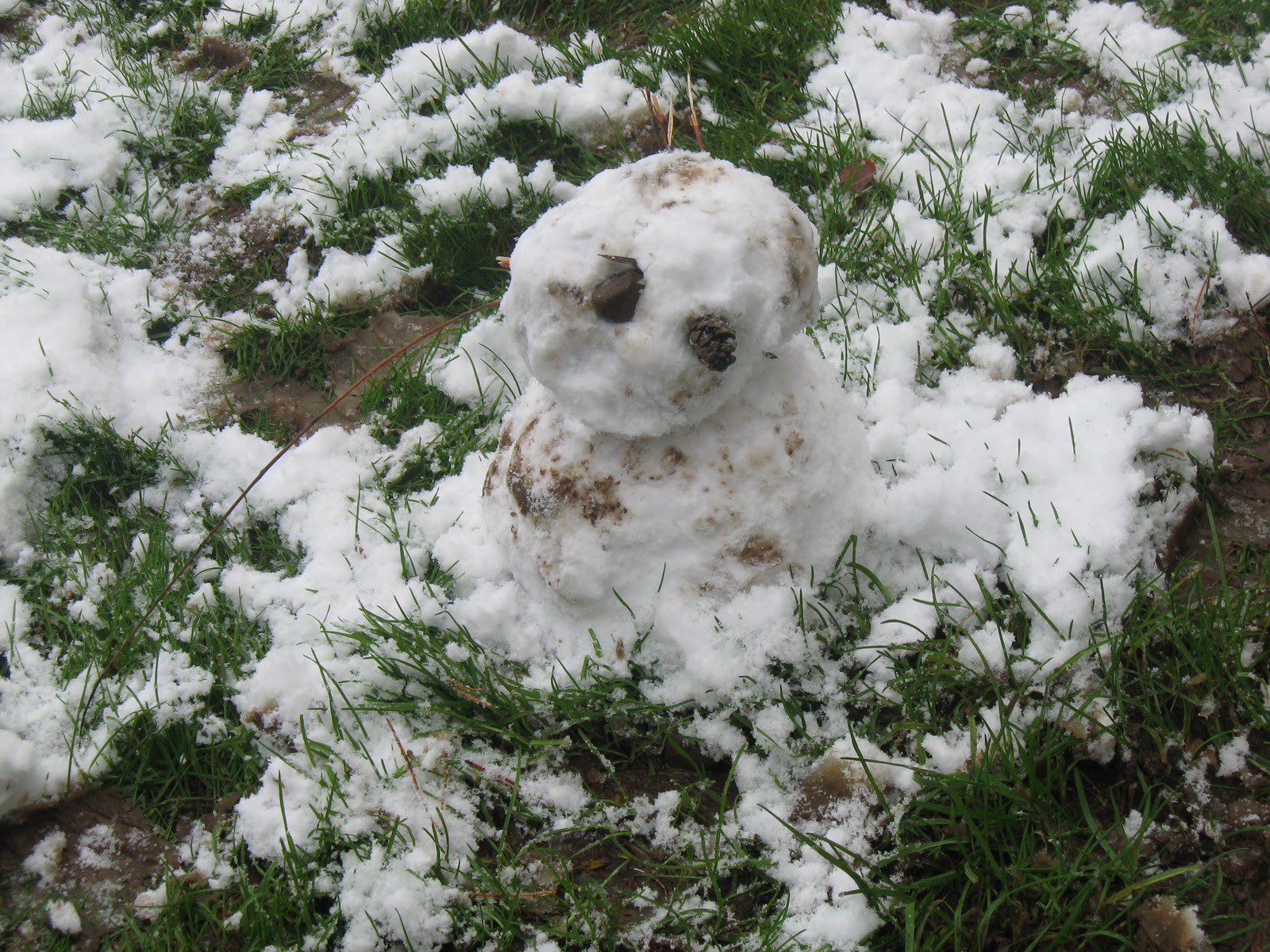 Christina Lee The Five Senses Of Winter SMELL