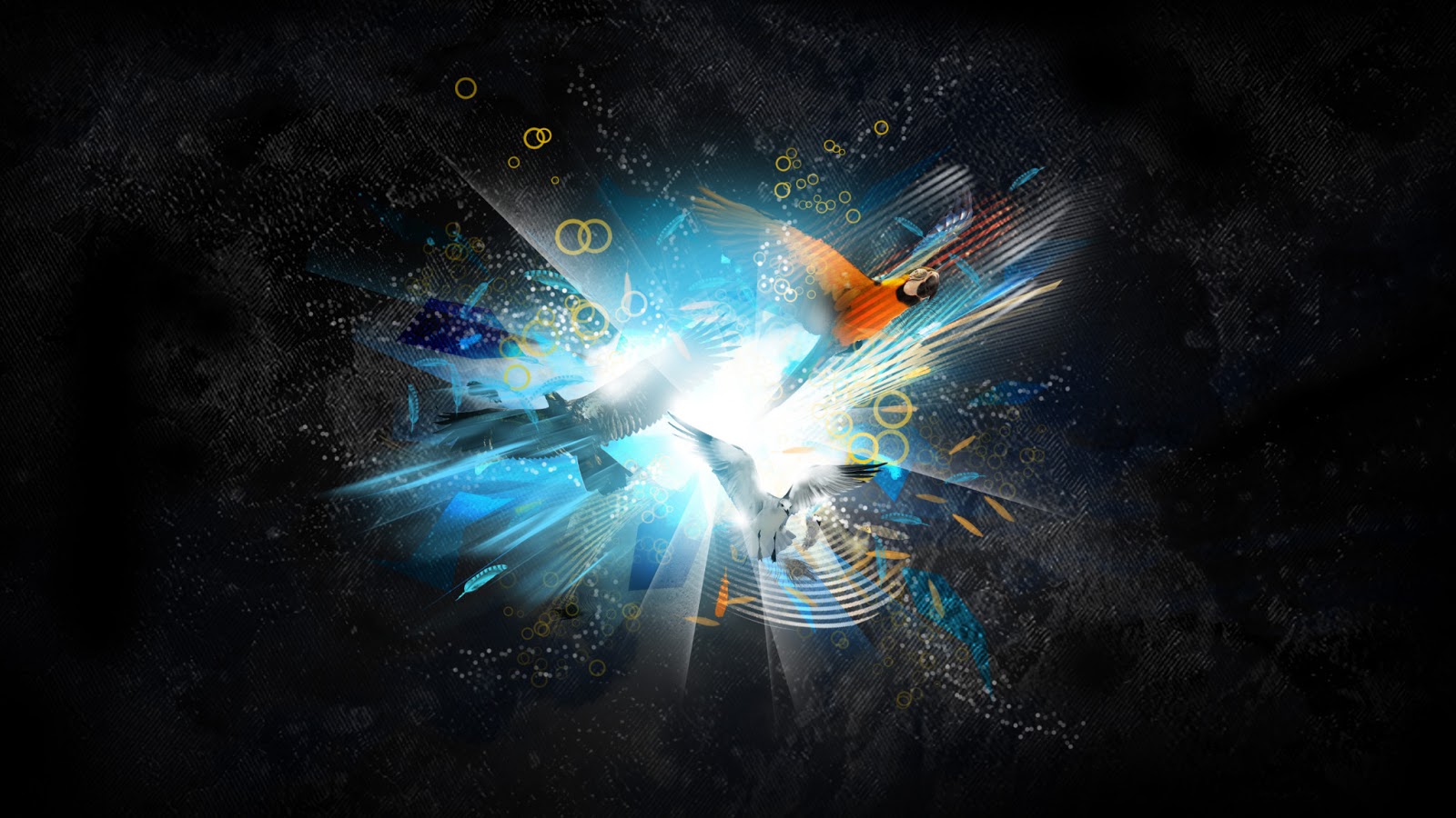 Creative 3D Windows 8 HD Wallpapers |Hd Wallpapers