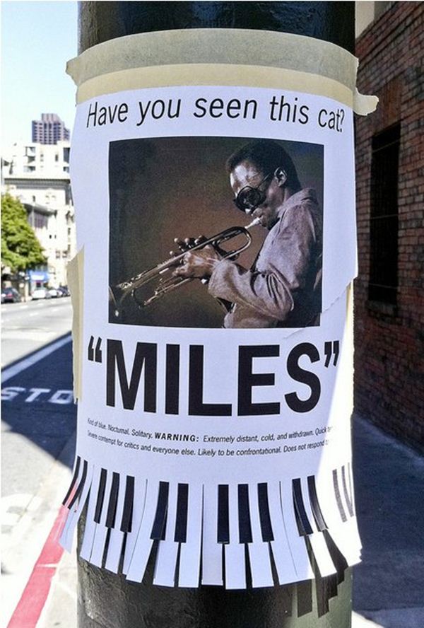 funny lost and found signs 30 pics funny signs lost and found poster