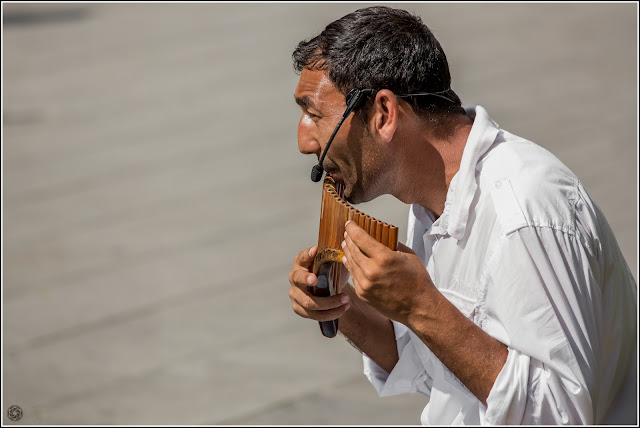 Barcelona: Músico interpretando en el Barrio Gótico