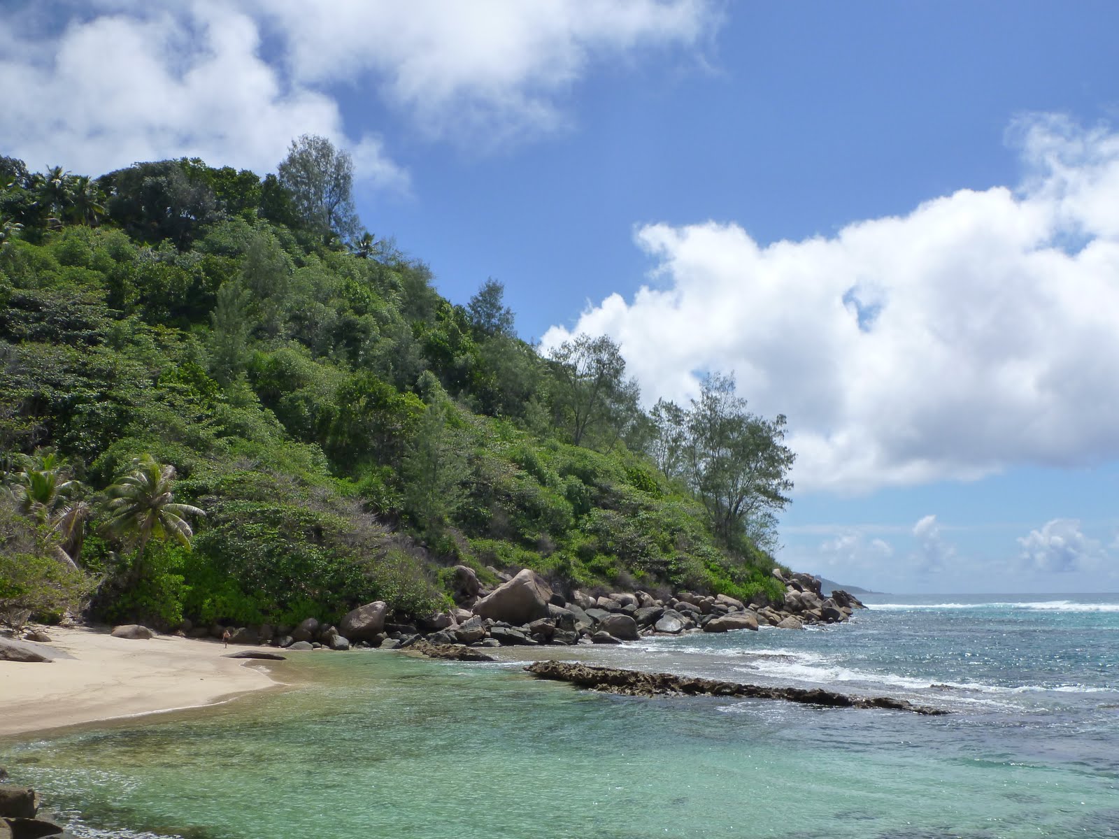 Jour 11 [Praslin] De Grand'Anse à Anse Volbert Plongée et farniente