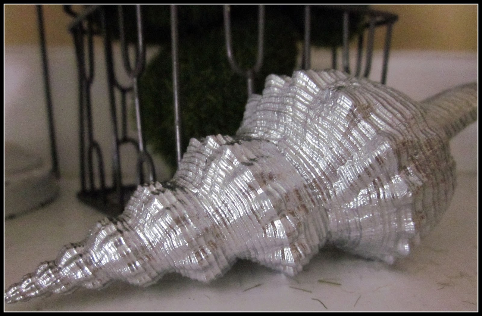 homeroad Susan's Shiny Sea Shells