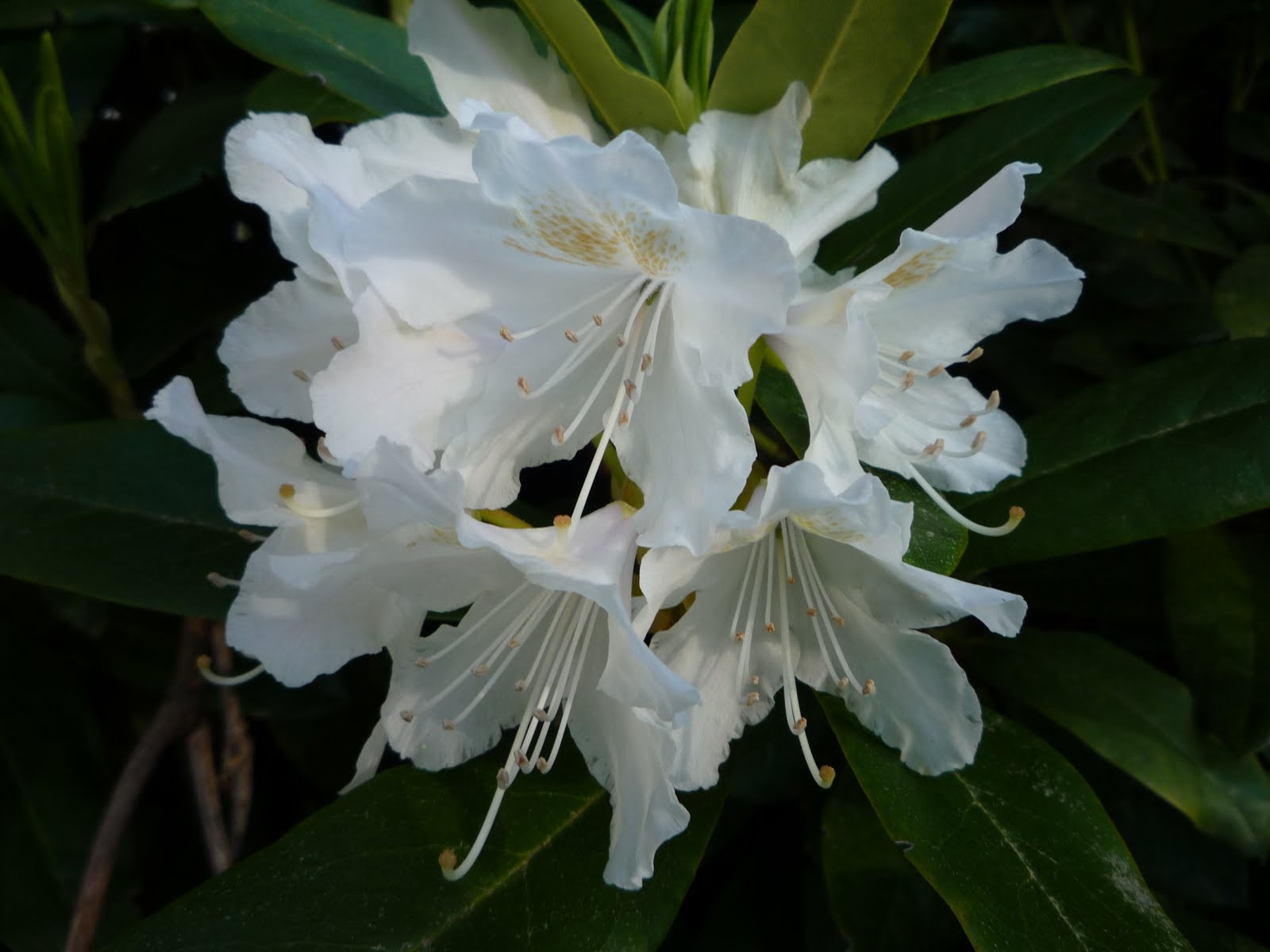 Just Northwest Outdoor Tourism Blog featuring the Pacific Northwest