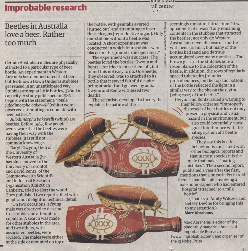 BunyipCo Beetles on the Bottle