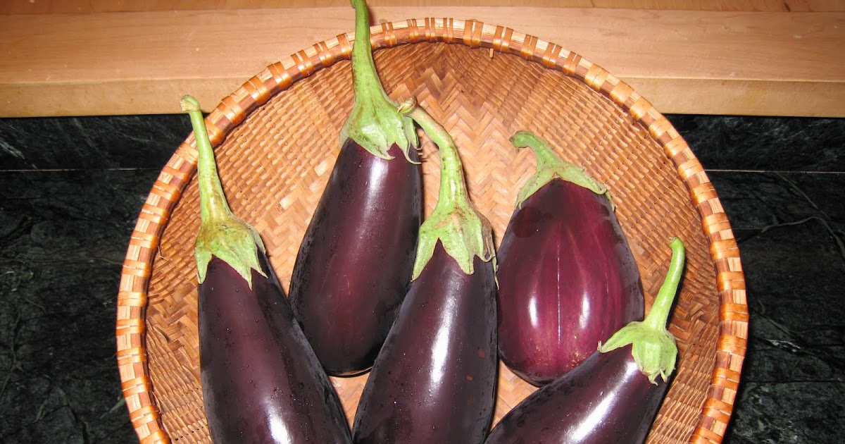 Orb Weaver Farm Eggplant In Winter