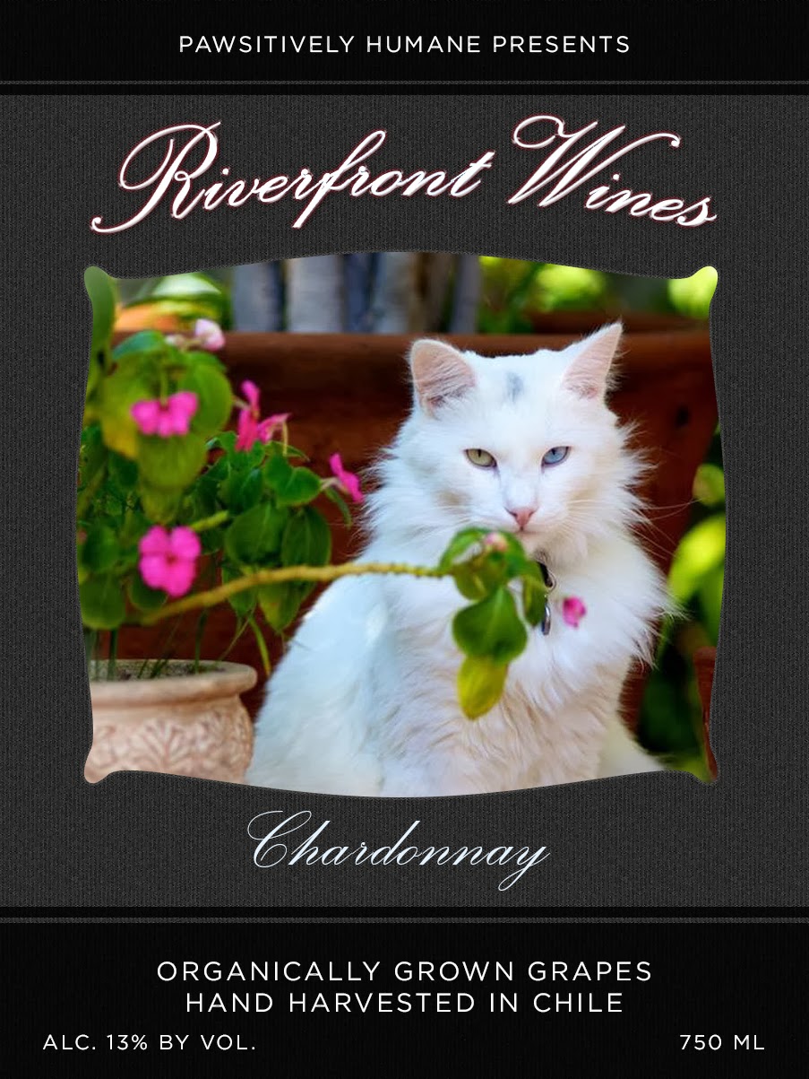 Riverfront Cats, Downtown Miami Riverfront Cat Wines for any Occasion