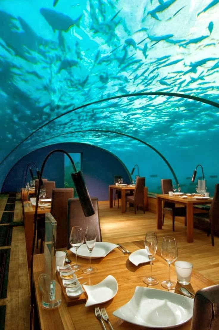 new moon village maldives new moon village maldives