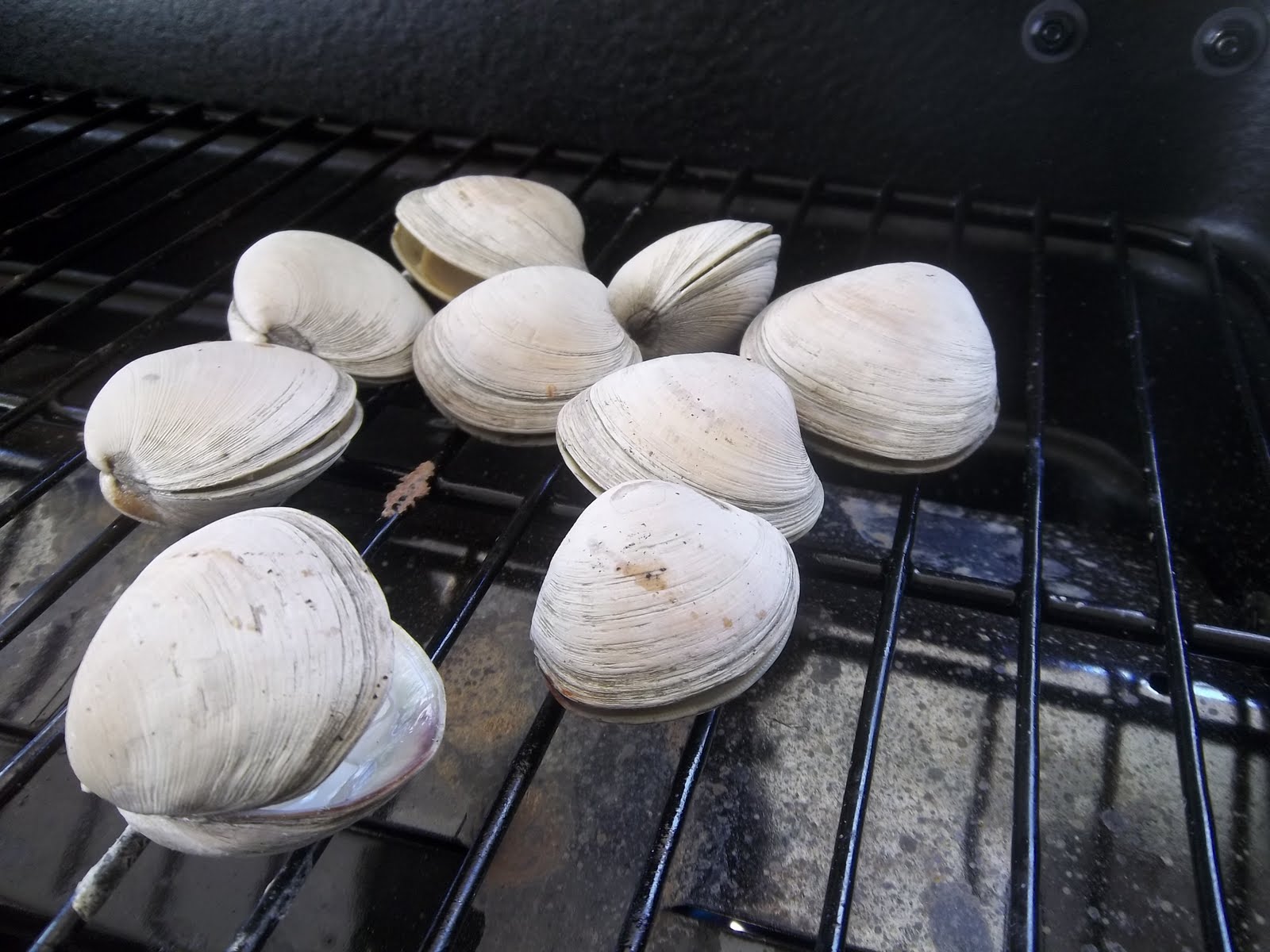 armchairchef Grilled Clams