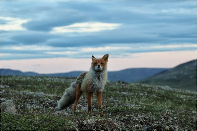 Chukotka-samoe-zasekrechennoe-nedostupnoe-mesto-mira