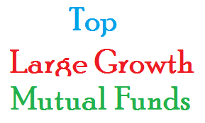 Top Performing Large Growth Mutual Funds 2014