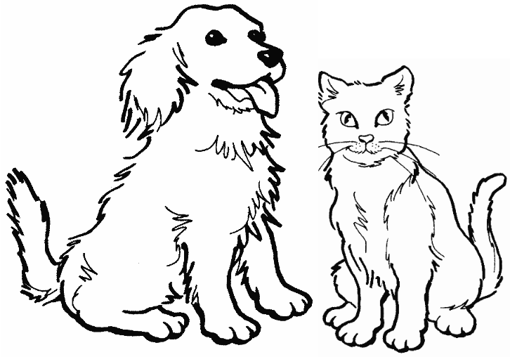 coloring puppy