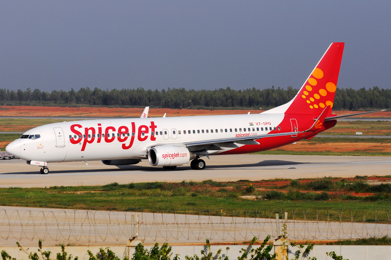 Spice jet web check-in image