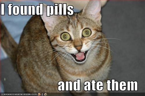 lolcat-funny-picture-found-pills-ate-eat