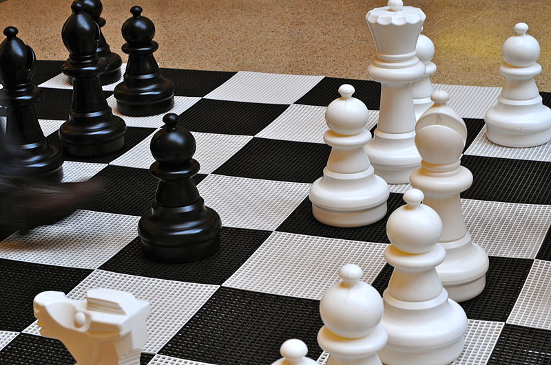 CEREBRAL BOINKFEST: Who Invented Chess?