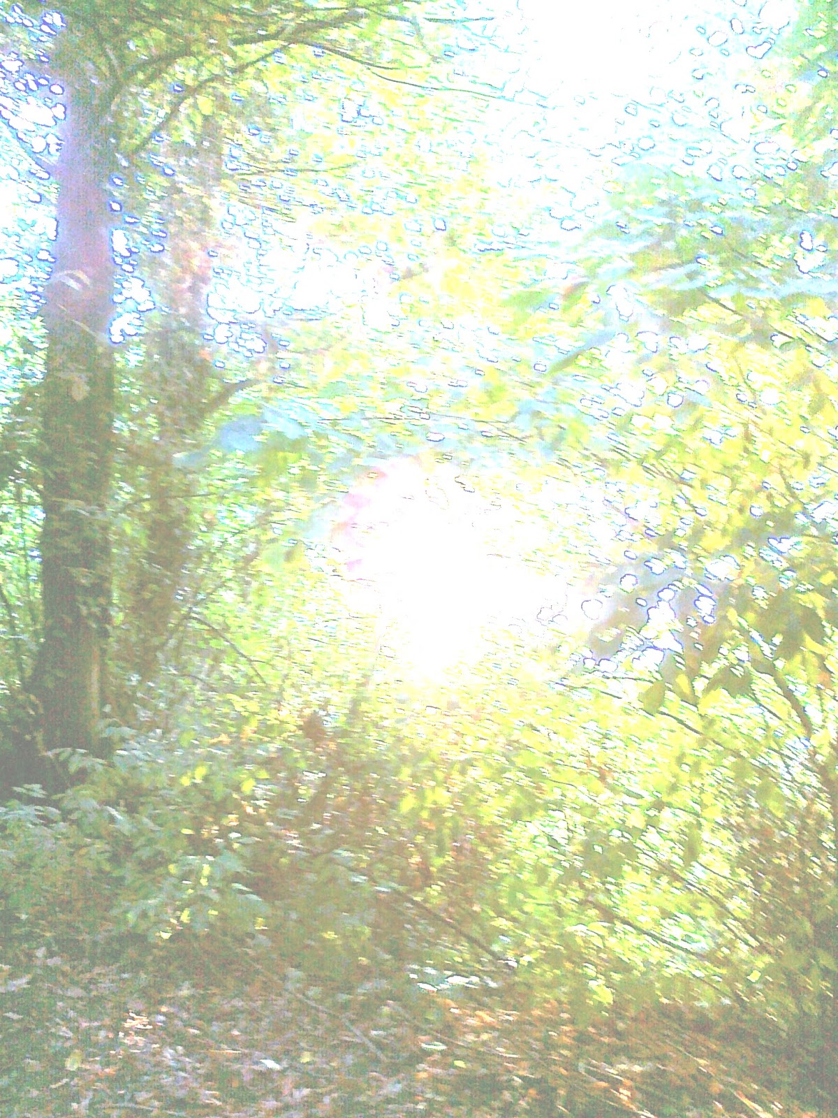 In Visibile Dio Parla Teresa Di Calcutta