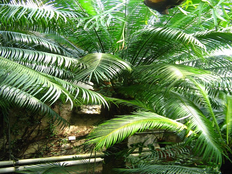 geografi 1 geografi 1