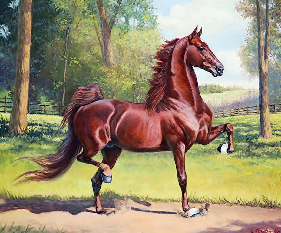 Resultado de imagen de Hermosos caballos