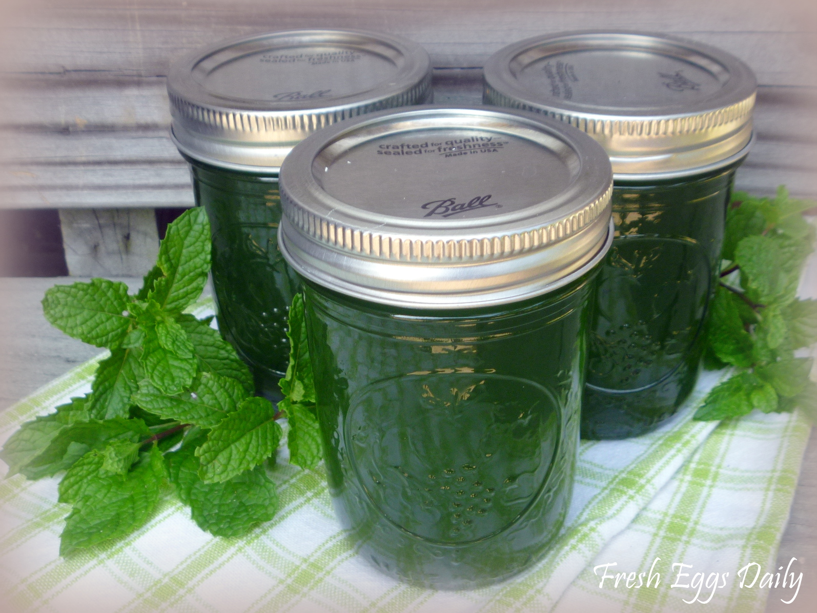 Homemade Mint Jelly from the Garden Fresh Eggs Daily®