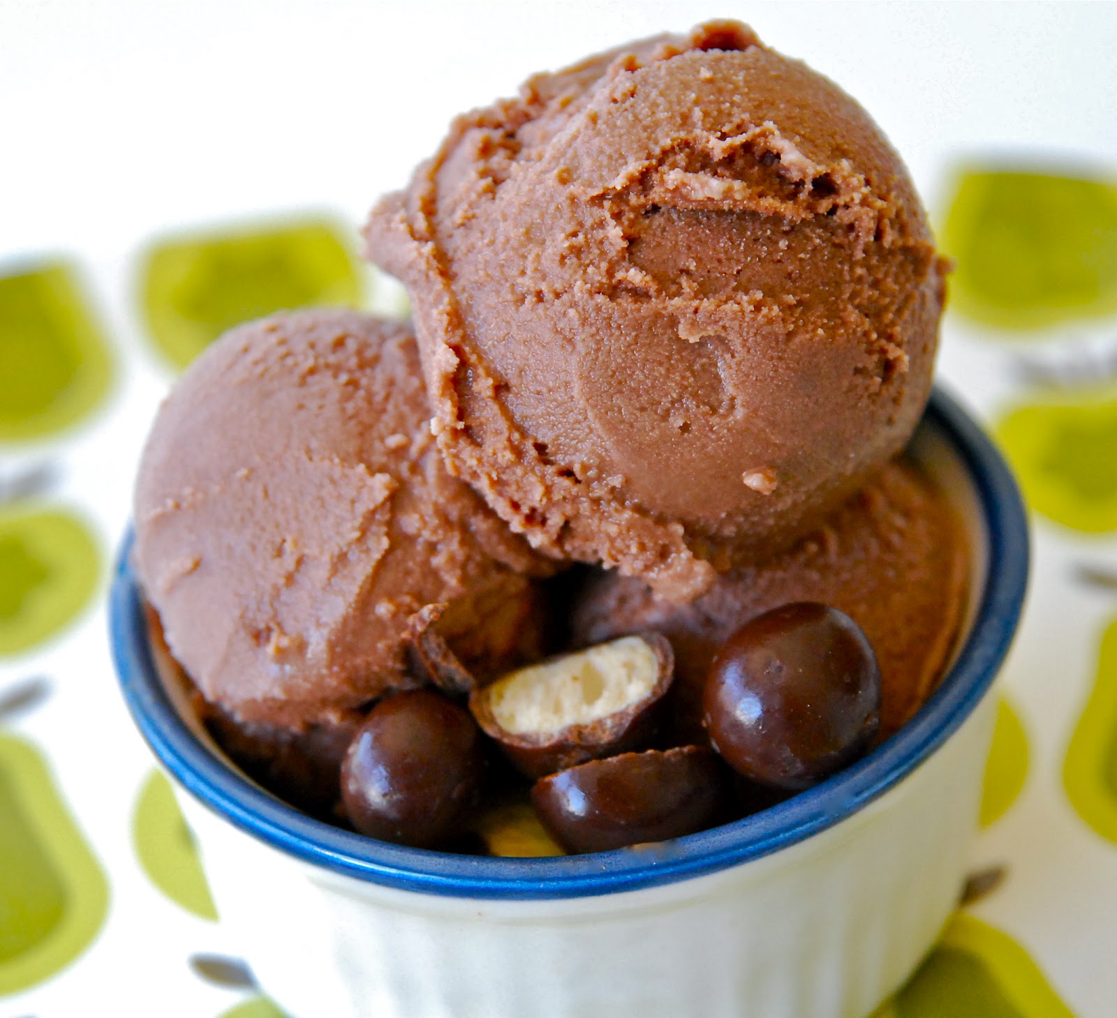 My Recession Kitchen...and garden Chocolate Malt (Non Dairy) Ice Cream