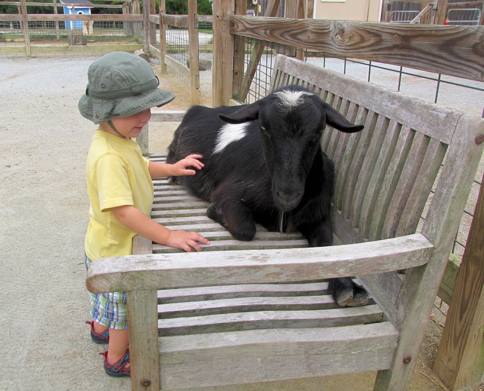 Femme au foyer Greensboro and the Science Center