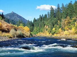 EL CURSO DE UN RÍO: INTERACTIVO