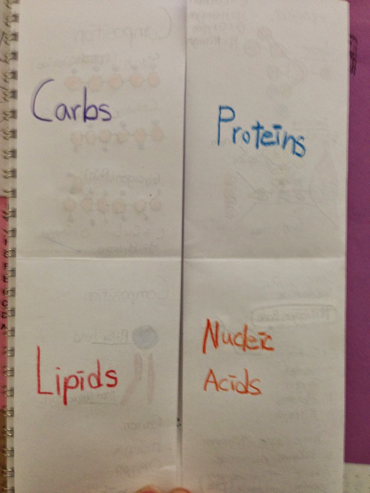 Honors Biology Macromolecule Foldable p. 37
