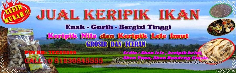 Grosir keripik Ikan | Jual Abon Lele | Jual Keripik Belut | Jual keripik lele | Jual keripik wader