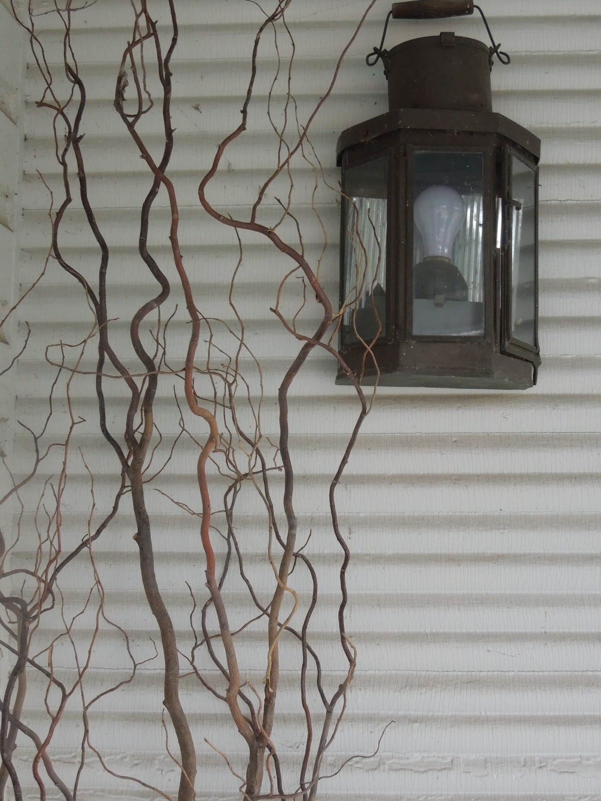 Franklin County (PA) Gardeners Plants With Winter InterestPart 11